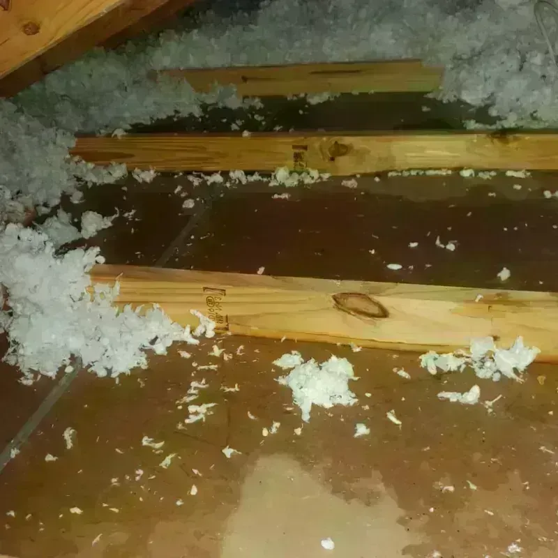 Attic Water Damage in Belle Plaine, KS