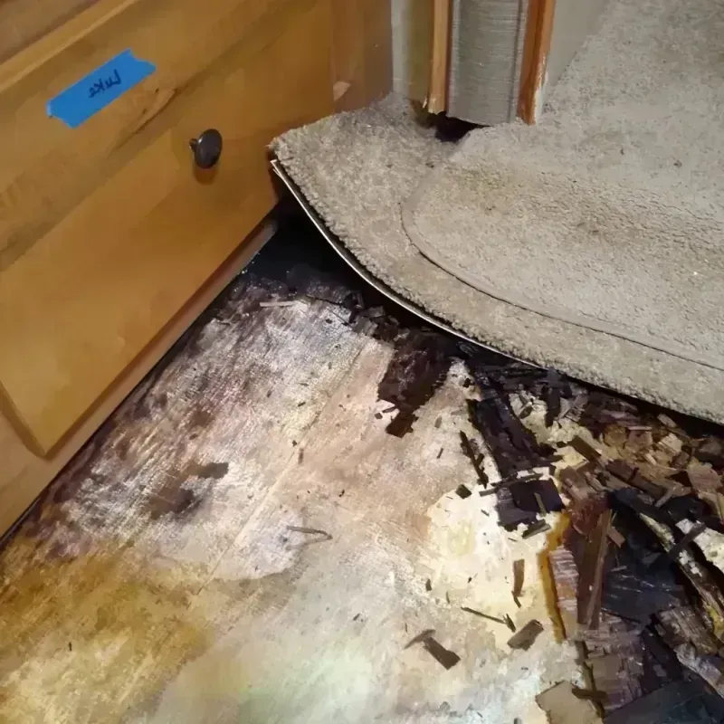 Best Wood Floor Water Damage Service in Belle Plaine, KS